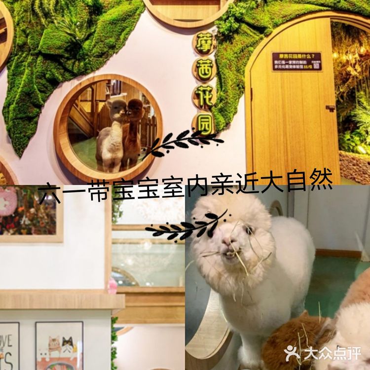 六一带宝宝必打卡去处‖宠物主题亲子体验馆