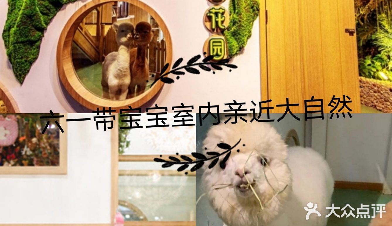 六一带宝宝必打卡去处‖宠物主题亲子体验馆