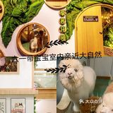 六一带宝宝必打卡去处‖宠物主题亲子体验馆