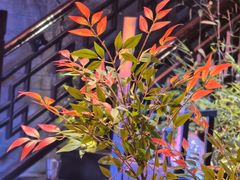 -豫满楼(郑东新区店)