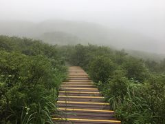 -大围山国家森林公园