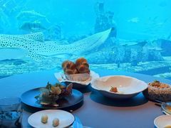 -亚特兰蒂斯•OSSIANO奥西亚诺海底餐厅