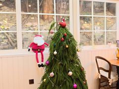 -贝拉披萨Pizzeria da Bella Verace