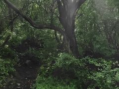 -灵山