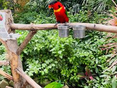 -南宫五洲植物乐园