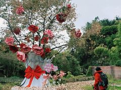 -梭布垭石林景区