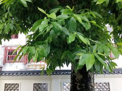 -徐悲鸿故居