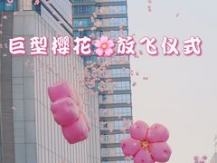 -金茂览秀城