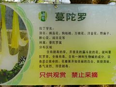 -南通洲际绿博园