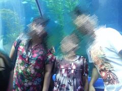 -皇家极地海洋世界-售票处