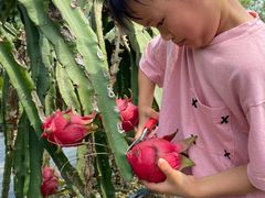 -尚果生态采摘园