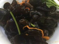 凉拌木耳-小榄公饭店(西区彩虹店)