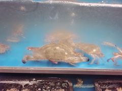 -盛宴自助餐厅(运达喜来登店)
