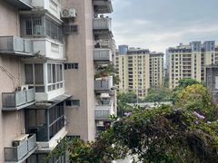 -金鸡山公园