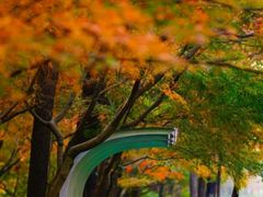 -大理洱源西湖景区
