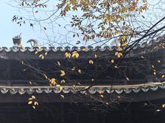 -西园戒幢律寺