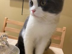 -白兔子密室(长寿路店)