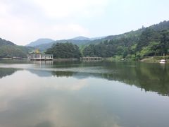 -庐山风景区花径公园