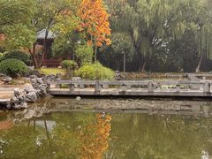 -金银湖国家城市湿地公园