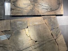 -甘肃地质博物馆