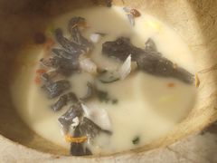 -滇小鱼·云南野生菌火锅(上杭路店)