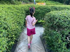 -九龙公园