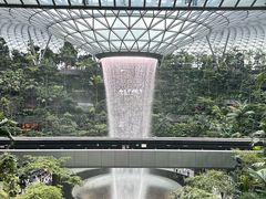 -樟宜机场免税店