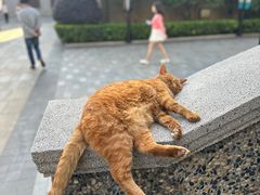 -思南书局(复兴中路店)