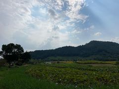 -径山花海