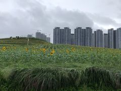 -光明小镇欢乐田园