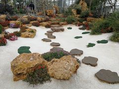 -南通洲际绿博园