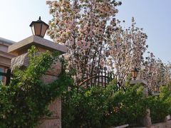 -天津五大道文化旅游区