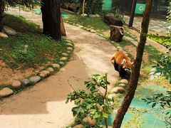 -云南野生动物园