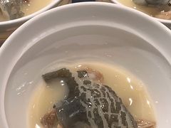 -临江·阅炉