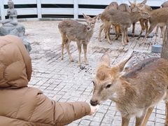 -北京野生动物园