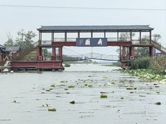 -微山岛春天里酒家