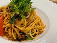 -VEGA VEGA 我行我素