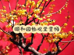 -颐和园