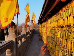 -大槐树寻根祭祖园