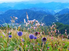 -白草畔自然风景区