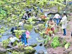 -重庆彩云湖湿地公园