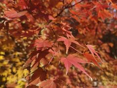 -北京周口店北京人遗址博物馆