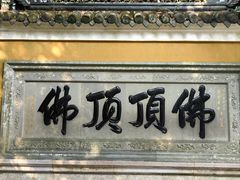 -普陀山慧济禅寺