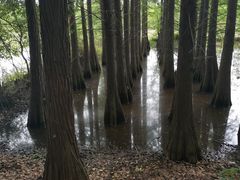 -东湖落雁景区