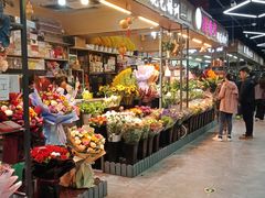 -大自然花鸟鱼虫市场