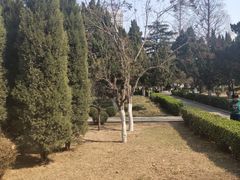 -山东大学(洪家楼校区)