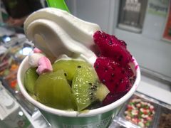 -Salud撒露欧洲冻酸奶(北苑上品店)