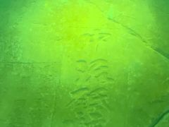 -白鹤梁水下博物馆