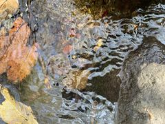 -云岫谷游猎自然风景区