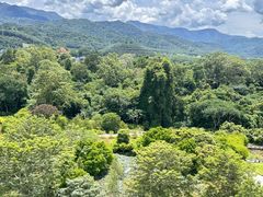 -中国科学院西双版纳热带植物园